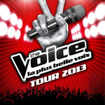 The Voice saison 2 – un record de tweets depuis les auditions à l’aveugle