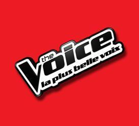 thevoice-plusbellevoix-sans-micro