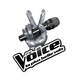 thevoice-logo-nb