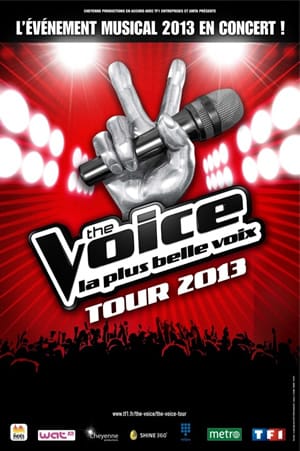 thevoicet-tournee2013