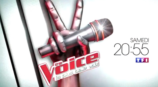 The Voice 5