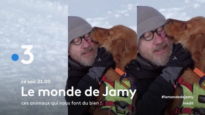 Ce soir sur France 3 "Le monde de Jamy", ces animaux qui nous font du bien (vidéo)