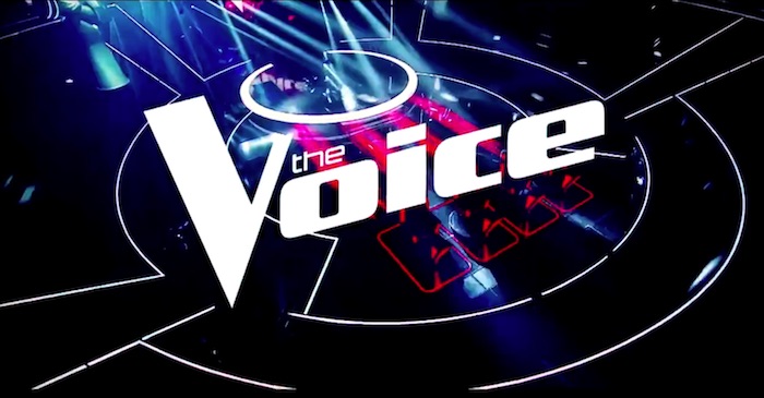 The Voice : départ de Karine Ferri