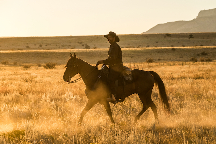 « Les Sept Mercenaires » ce soir sur France 3