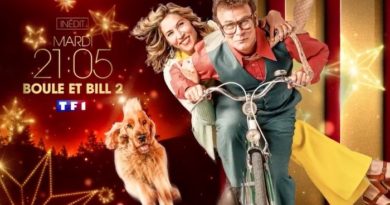 Ce soir sur TF1, passez le réveillon de Noël avec "Boule et Bill 2" (VIDEO)