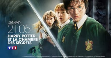 « Harry Potter et la chambre des secrets » : votre film ce soir sur TF1 (1er novembre 2022)