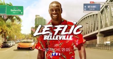 « Le flic de Belleville » : votre film ce soir sur TF1 (8 novembre 2022)