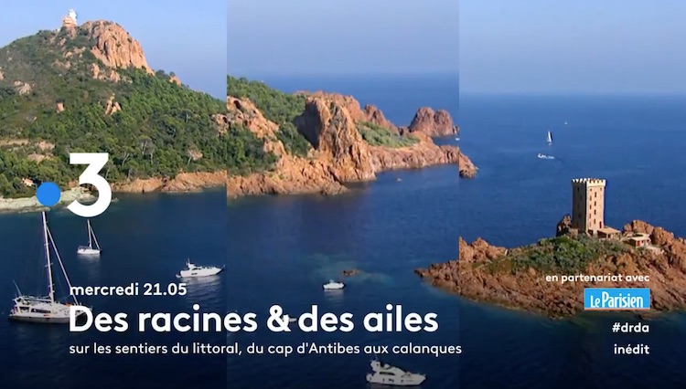 « Des racines et des ailes » du 2 juin 2021 « Des racines et des ailes » du 2 juin 2021