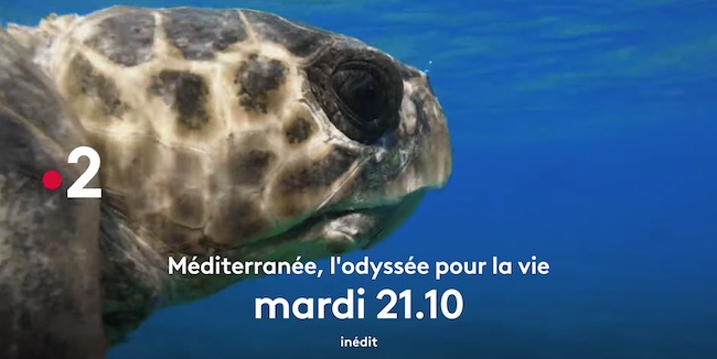 « Méditerranée - l'Odyssée pour la vie »