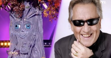 « Mask Singer » : l'Arbre démasqué ce soir ? Tous les indices mènent à Gilbert Montagné