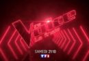 Audiences TV prime samedi 21 mai 2022 : « Dans l’ombre des dunes » petit leader,  la finale de « The Voice » puissante sur cibles !