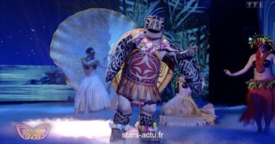 Mask Singer : qui est derrière la Tortue ? IndicesMask Singer : qui est derrière la Tortue ? Indices