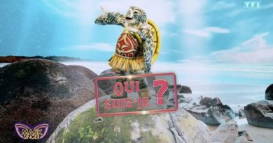 Mask Singer : quelle star derrière la Tortue ? Tous les indices qui mènent à...
