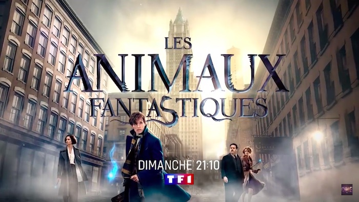 Les Animaux Fantastiques : votre film sur TF1 ce dimanche 23 octobre 2022