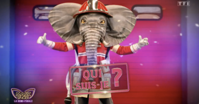 Mask Singer : qui est sous l'Éléphant ? Tous les indices qui vont vers Keen'V !