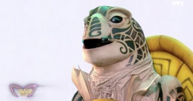 Mask Singer : découvrez qui est sous la Tortue ! (+ tous les indices)