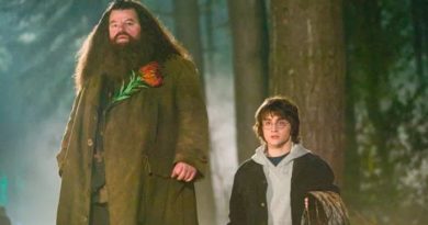 Mort de Robbie Coltrane, Hagrid dans Harry Potter