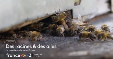 Des racines et des ailes du 14 décembre : direction la Savoie ce soir sur France 3