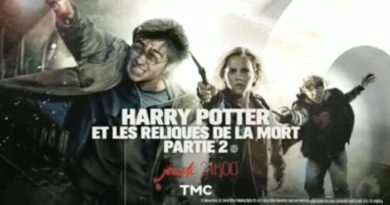 « Harry Potter et Les Reliques de la Mort - Partie 2 » : clap de fin ce soir sur TMC (29 décembre)