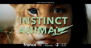 « Instinct animal » avec Julie de Bona, c'est ce soir sur France 2 (27 décembre 2022)