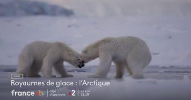 « Royaumes de glace - L'Arctique » : votre documentaire ce soir sur France 2 (7 février)