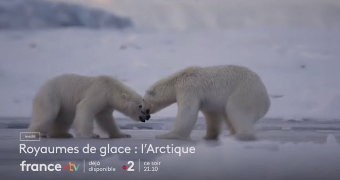 « Royaumes de glace - L'Arctique » :  votre documentaire ce soir sur France 2 (7 février)
