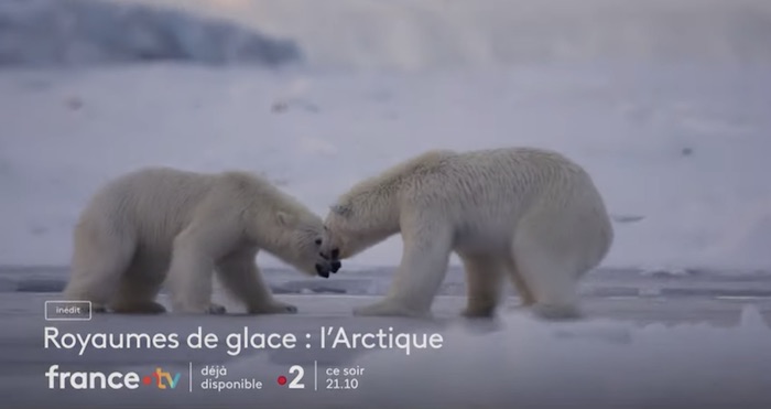 « Royaumes de glace - L'Arctique » : votre documentaire ce soir sur France 2 (7 février)