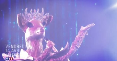 Mask Singer : qui se cache sous le costume de la Biche ? Indice !
