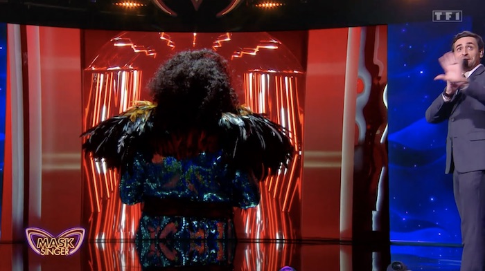 Mask Singer : le Canard démasqué, qui s'y cachait ? Réponse ! (VIDEO)