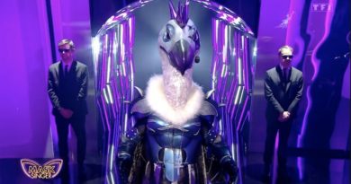 Mask Singer : le Vautour démasqué, qui s'y cachait ? Réponse ! (VIDEO)