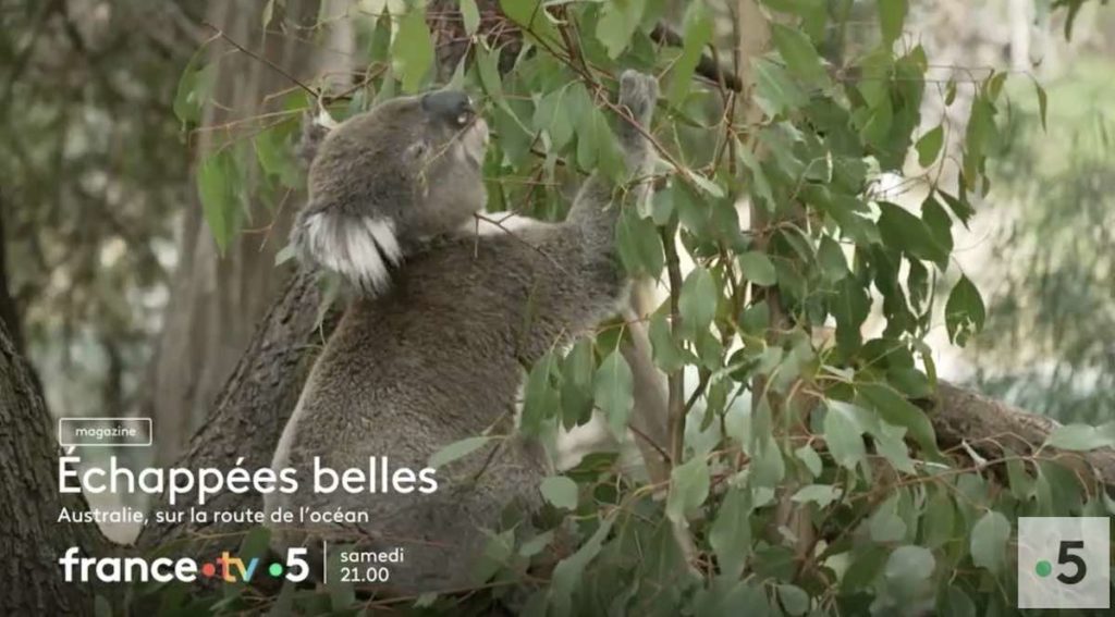 Echappées Belles du 27 mai : direction l'Australie ce soir sur France 5 (sommaire)