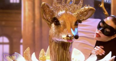 Mask Singer : quelle star se cache sous la Biche ? Indices et prono