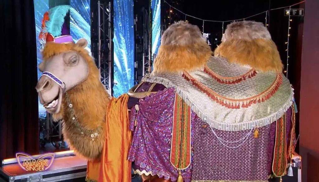 Mask Singer : le Chameau démasqué, qui s'y cachait ? Réponse ! (VIDEO)