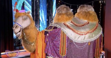 Mask Singer : le Chameau démasqué, qui s'y cachait ? Réponse ! (VIDEO)