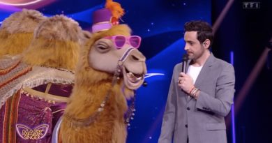 Mask Singer : quel duo est sous le Chameau ? Récap des indices