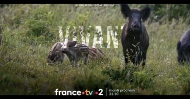 « Vivant » : votre documentaire ce soir sur France 2 (23 mai)