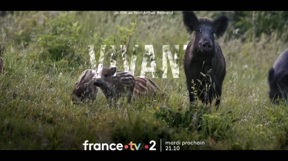 « Vivant » : votre documentaire ce soir sur France 2 (23 mai)