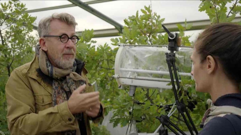 Le monde de Jamy du 1er novembre : le sommaire ce soir sur France 3