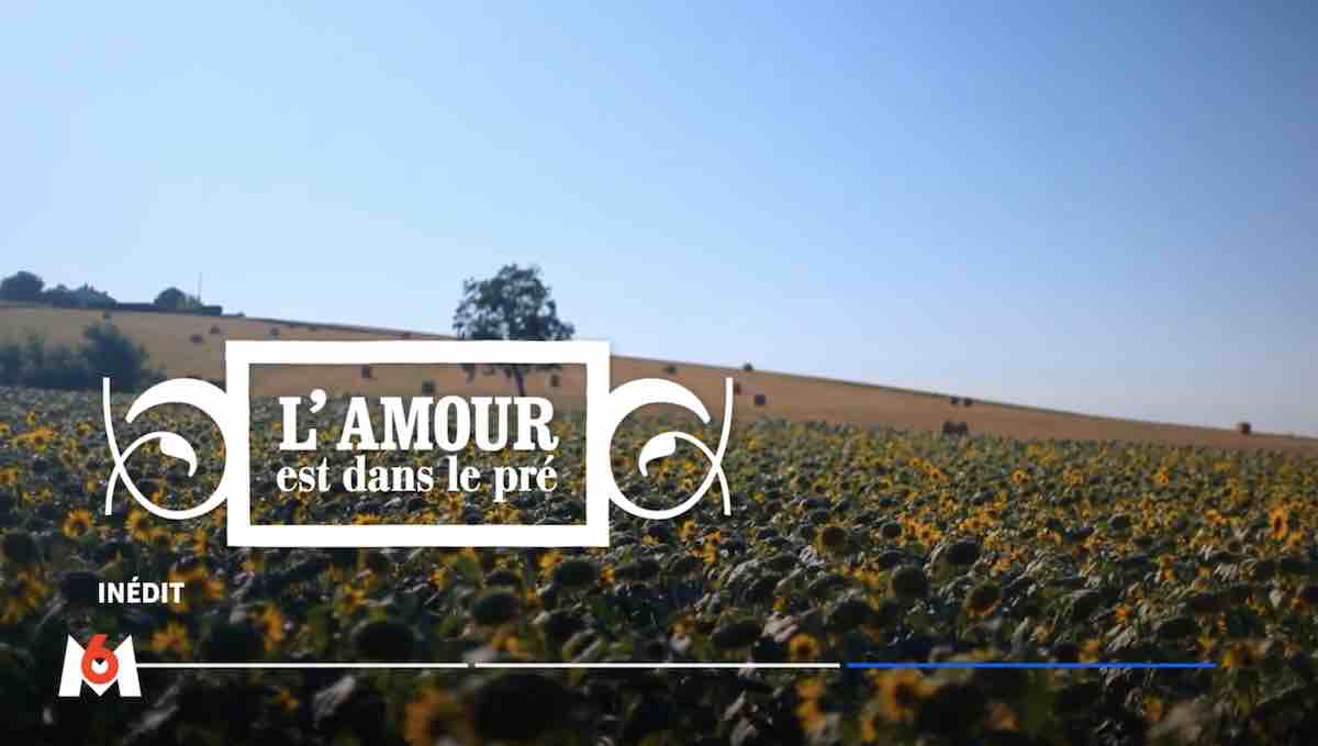 Audiences 6 novembre 2023 : « L'amour est dans le pré » en tête devant « Clem »