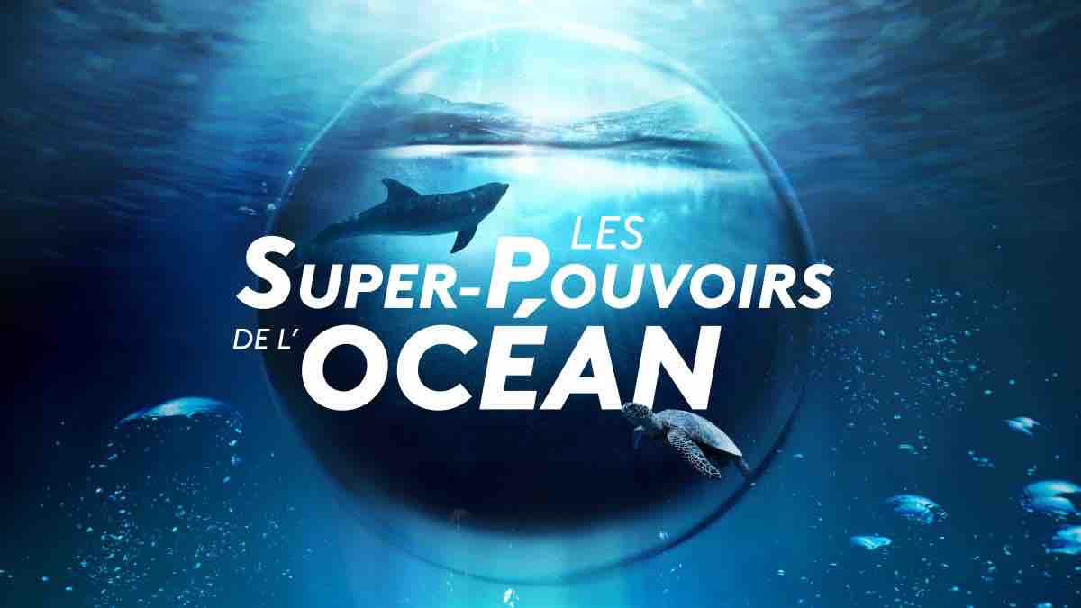 « Les superpouvoirs de l'océan » : votre émission ce soir sur France 2 (28 novembre)