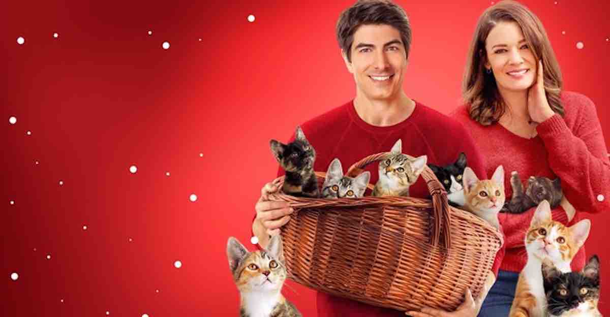 « Neuf chatons pour Noël » : votre téléfilm de Noël ce 13 décembre sur TF1 (histoire, interprètes, vidéo)