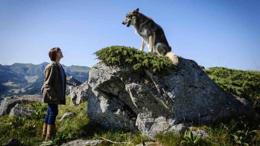 Audiences 4 mars 2025 : « Mort d'un berger » leader devant « Koh-Lanta »