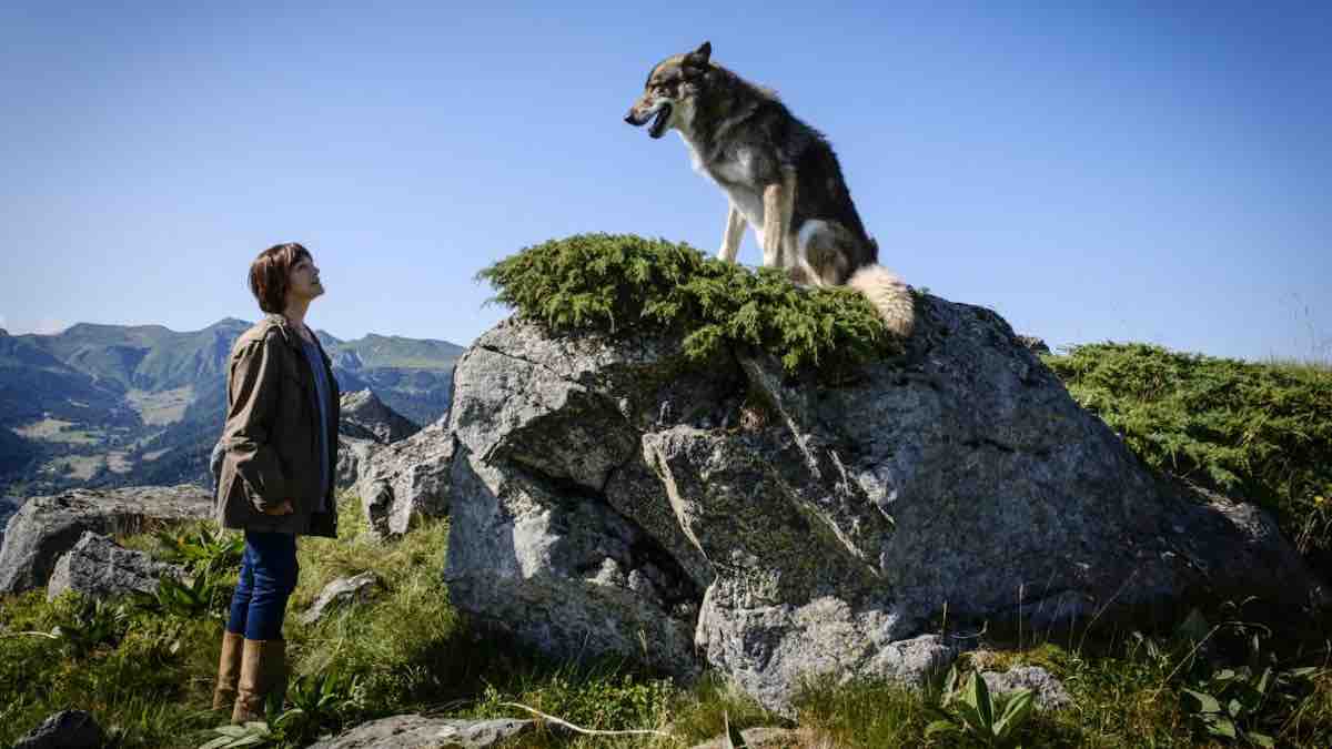« Mort d'un berger » : le téléfilm avec Anny Duperey ce soir sur France 3 (23 janvier)