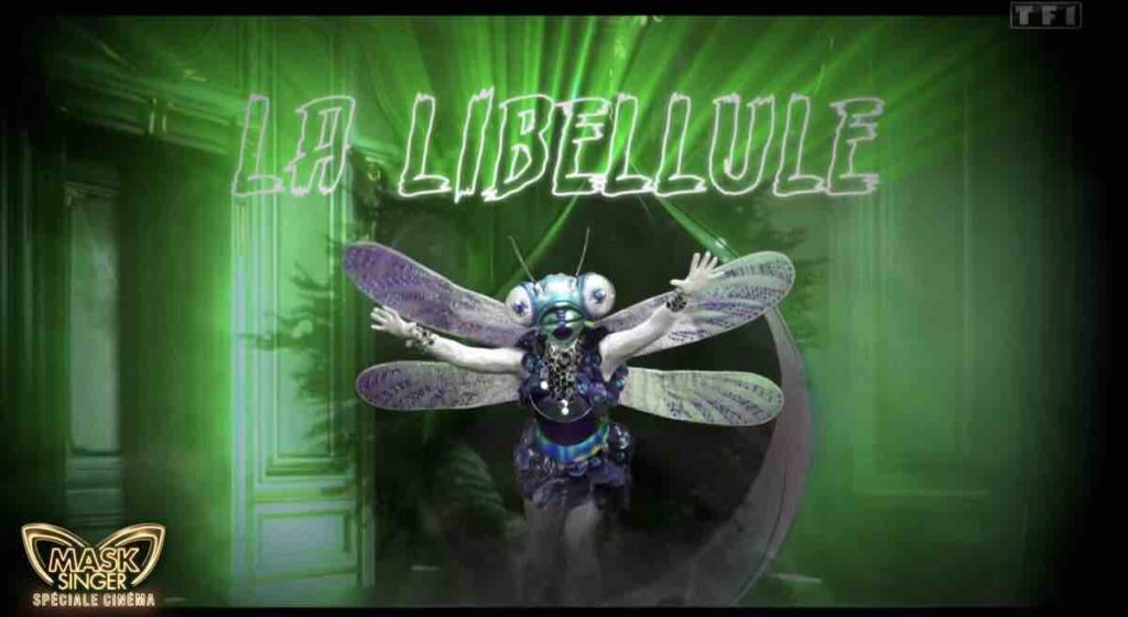 Mask Singer : quelle star est derrière la Libellule ? Les indices et prono
