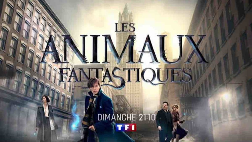 « Les animaux fantastiques » : le film ce soir sur TF1 (21 juillet 2024)