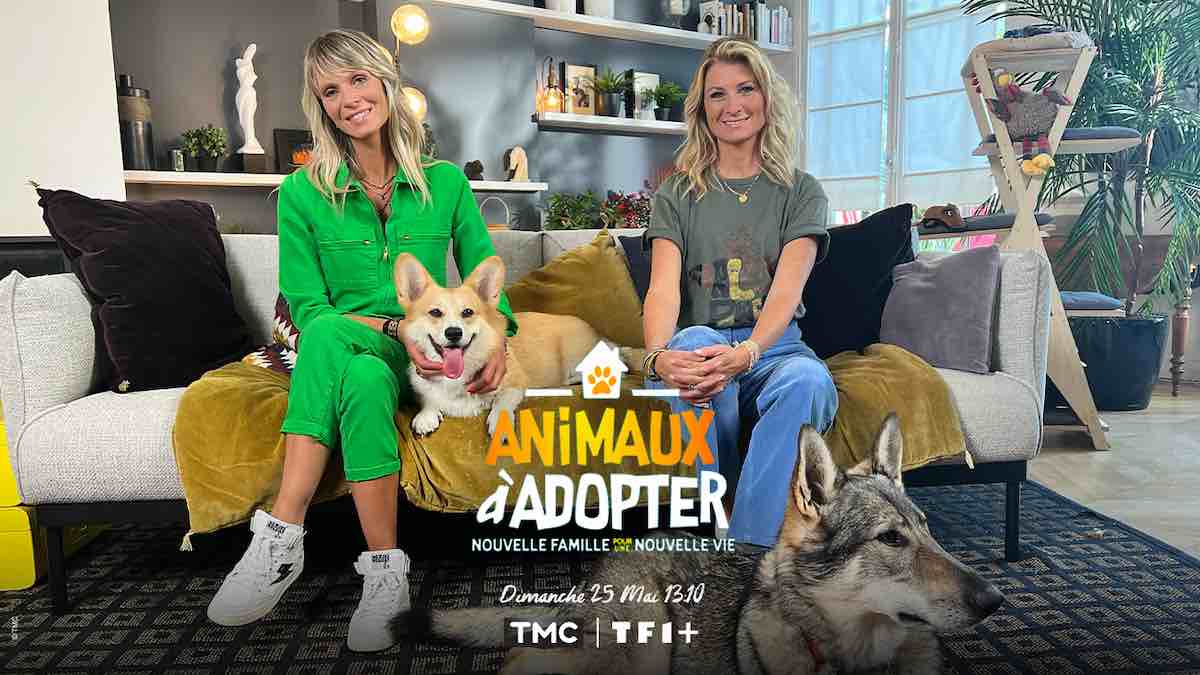 « Animaux à adopter » de retour dès le 25 mai sur TFX