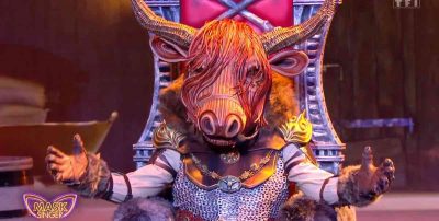 Mask Singer : le Bison démasqué, qui s'y cachait ? Réponse ! (VIDÉO)