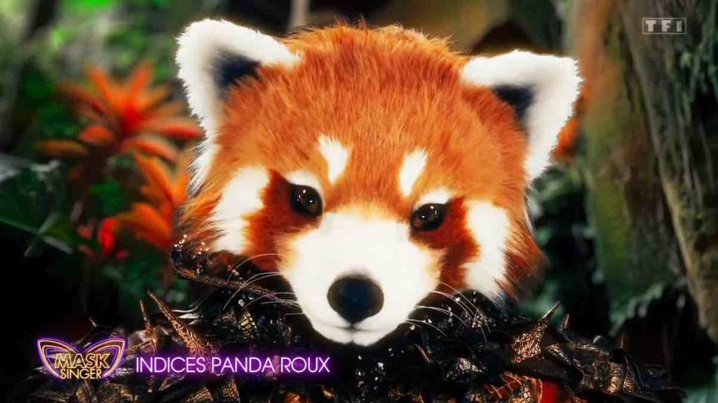 Mask Singer : le Panda Roux démasqué, qui s'y cachait ? Réponse ! (VIDÉO)