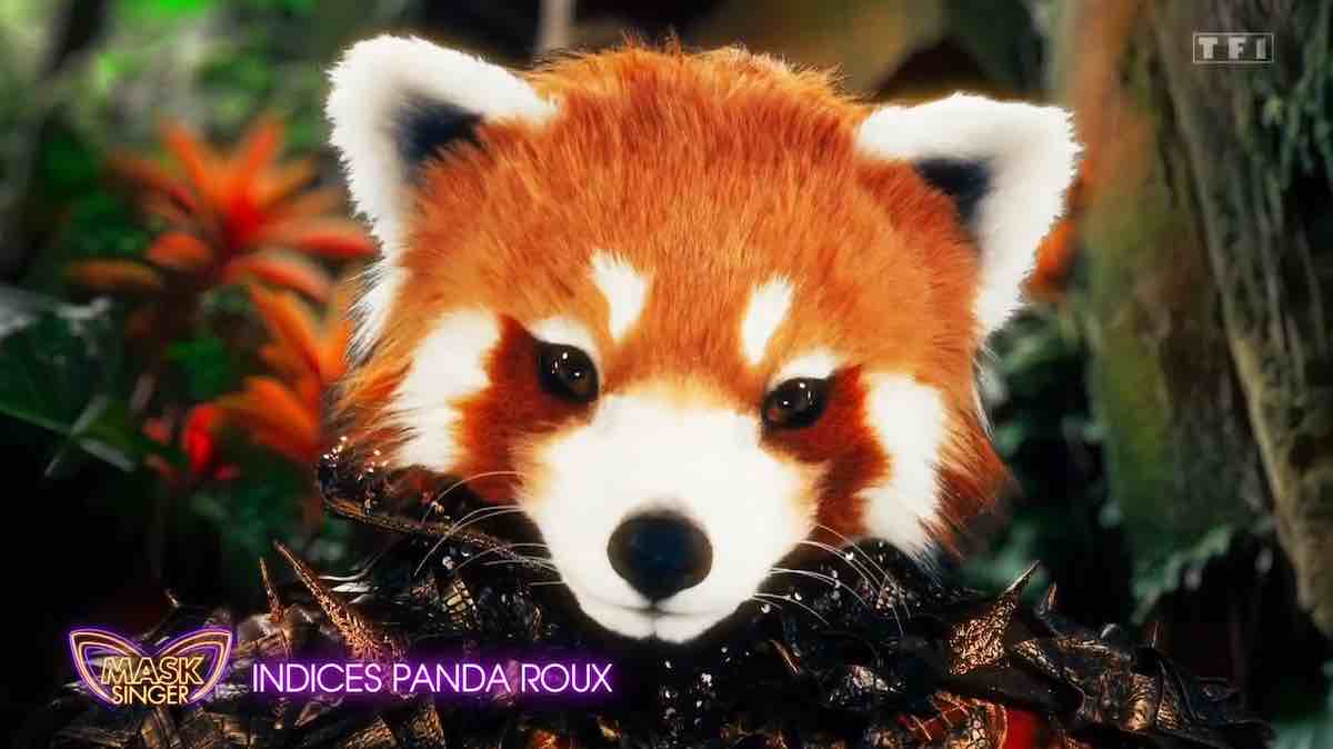 Mask Singer : qui est sous le masque du Panda Roux ? Indices !