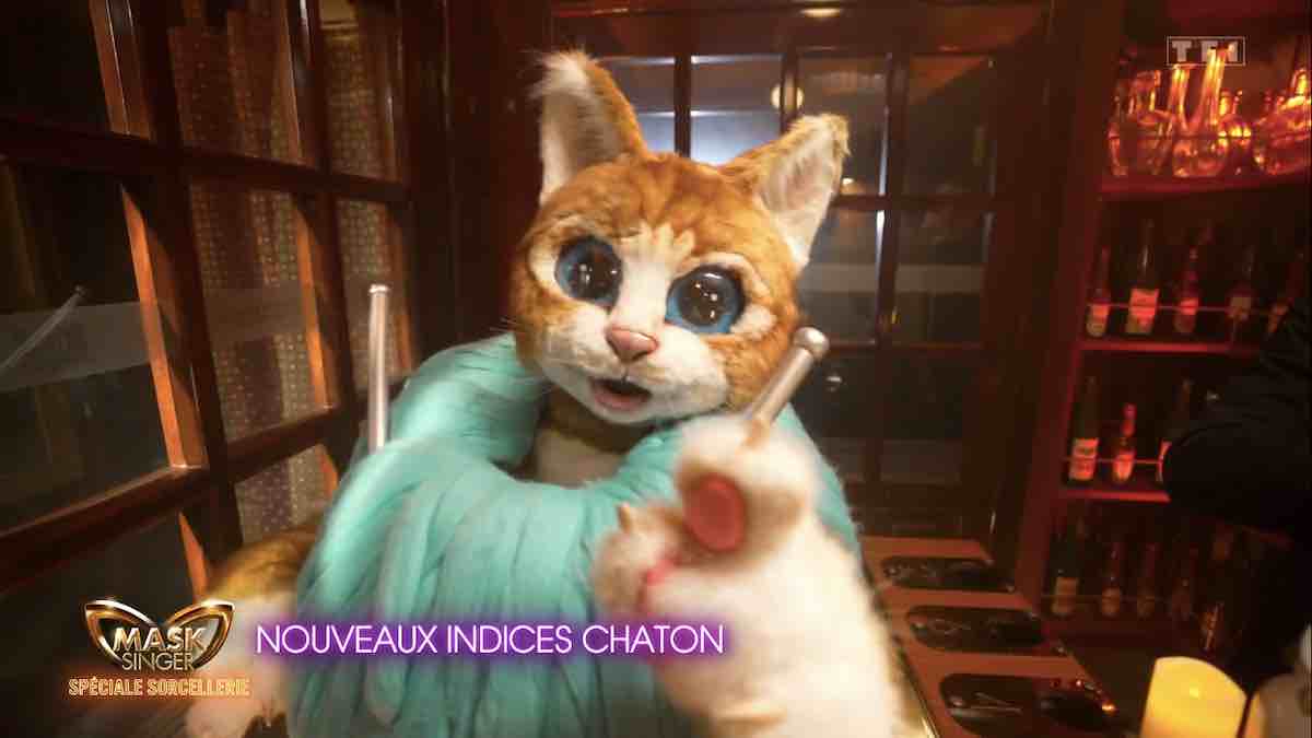 Mask Singer : on vous révèle quelle star est sous le Chaton ! (récap des indices)